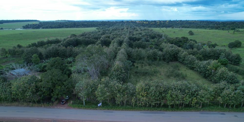 LINHA 184 KM 15 NORTE - ROLIM DE MOURA  - Foto 1 de 9